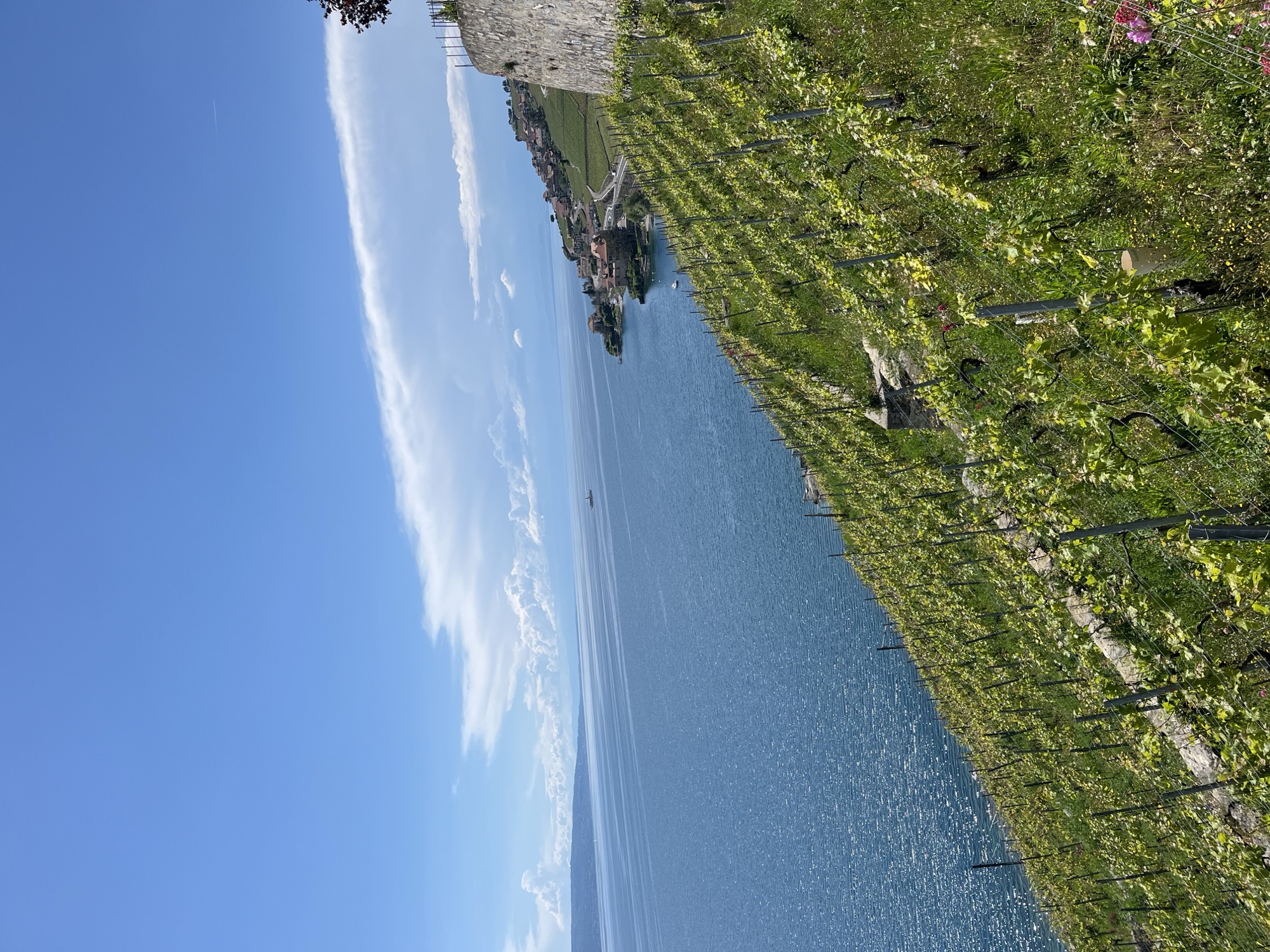 Lavaux